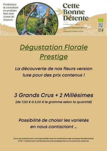 Dégustation Florale Prestige - Cette Bonne Détente ! Le Chanvre par Excellence