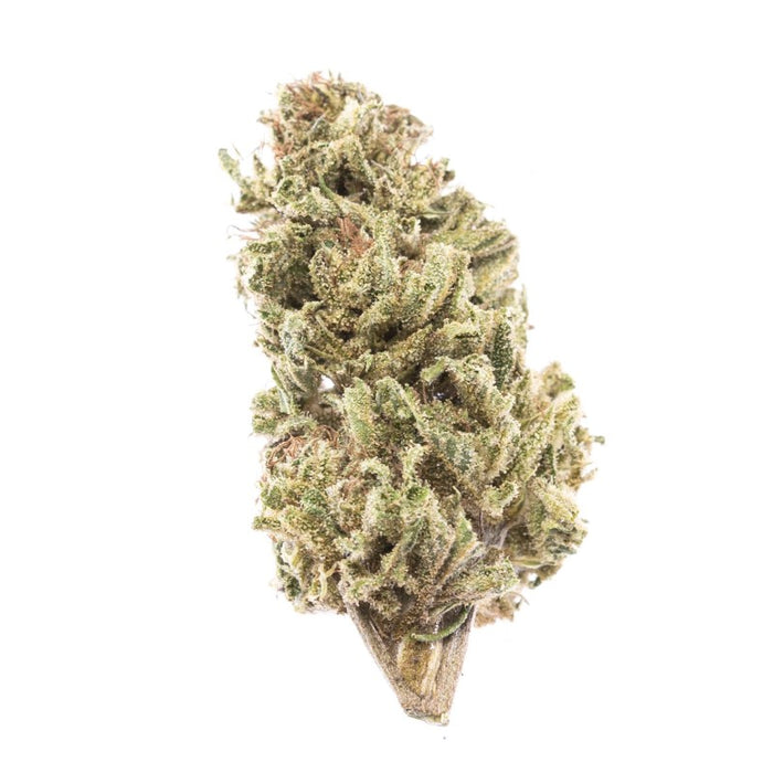 Lemon Buddha : Culture en extérieur - Origine Vosges - CBD % / THC < 0.3% - Cette Bonne Détente ! Le Chanvre par Excellence
