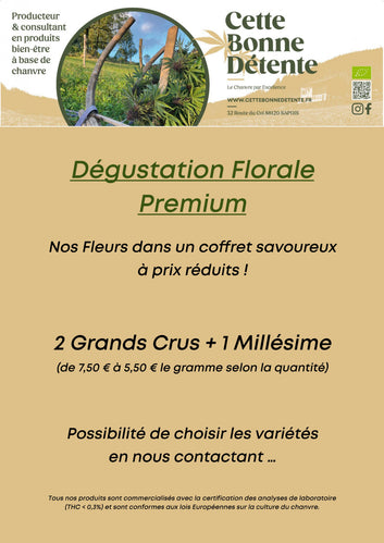 Dégustation Florale Premium - Cette Bonne Détente ! Le Chanvre par Excellence