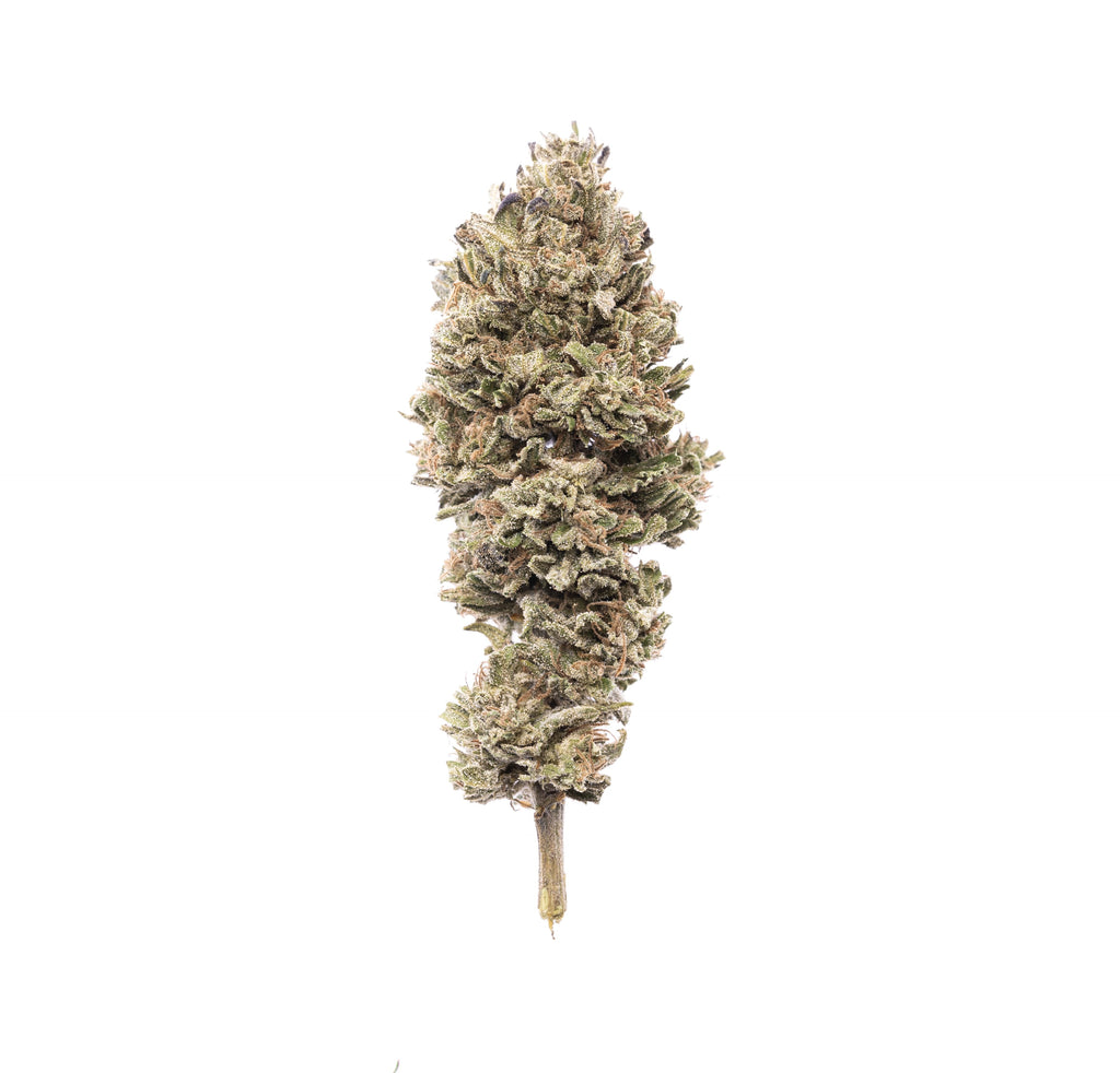 Ancestral Bud : Culture en extérieur - Origine Vosges - CBD 4.6% / THC < 0.3% - Cette Bonne Détente ! Le Chanvre par Excellence