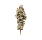 Ancestral Bud : Culture en extérieur - Origine Vosges - CBD 4.6% / THC < 0.3%