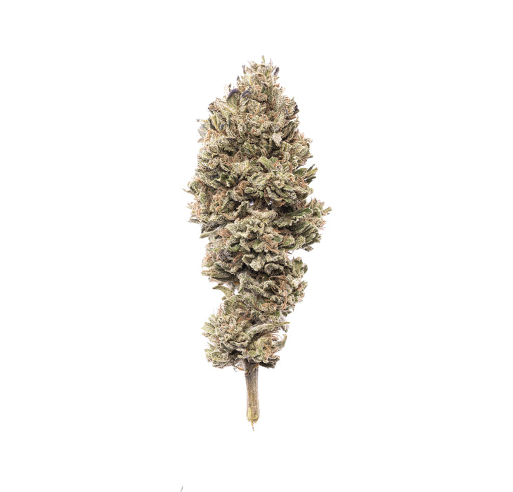 Ancestral Bud : Culture en extérieur - Origine Vosges - CBD 4.6% / THC < 0.3% - Cette Bonne Détente ! Le Chanvre par Excellence