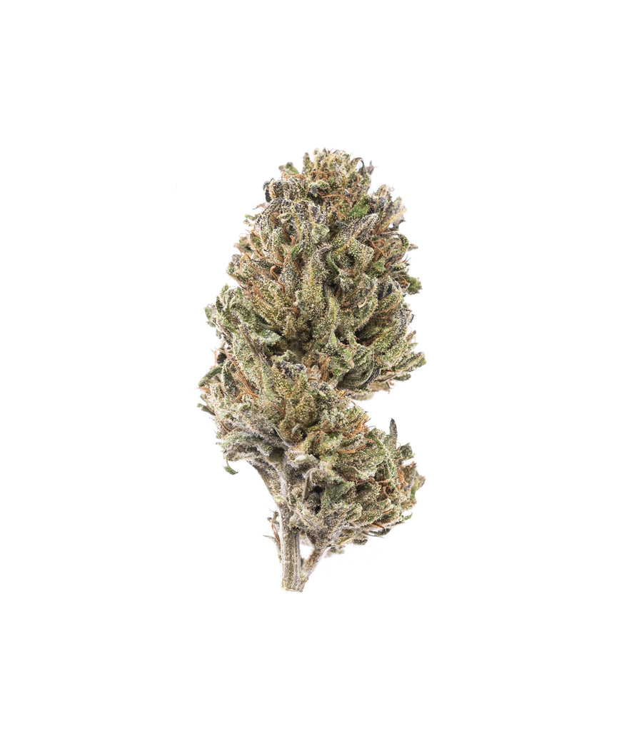 Asian Blue : Culture en extérieur - Origine Vosges - CBD 5.35% / THC < 0.3% - Cette Bonne Détente ! Le Chanvre par Excellence