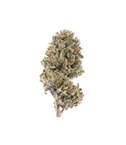 Asian Blue : Culture en extérieur - Origine Vosges - CBD 5.35% / THC < 0.3%