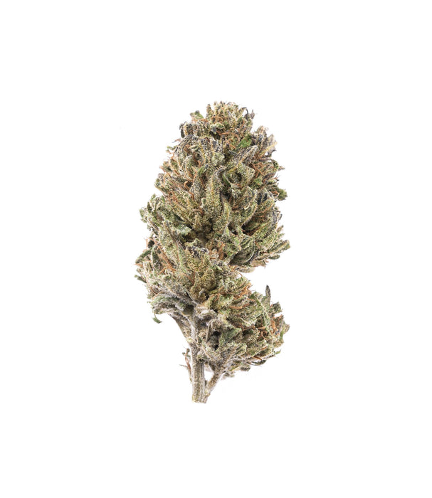Asian Blue : Culture en extérieur - Origine Vosges - CBD 5.35% / THC < 0.3% - Cette Bonne Détente ! Le Chanvre par Excellence