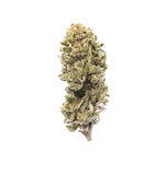 Harlequin : Culture en extérieur - Origine Vosges - CBD 3.9% / THC < 0.3%