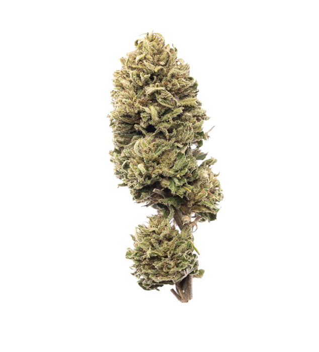Recovery : Culture en extérieur - Origine Vosges - CBD 8.35% / THC < 0.3% - Cette Bonne Détente ! Le Chanvre par Excellence